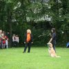 ferienhit_2010_029